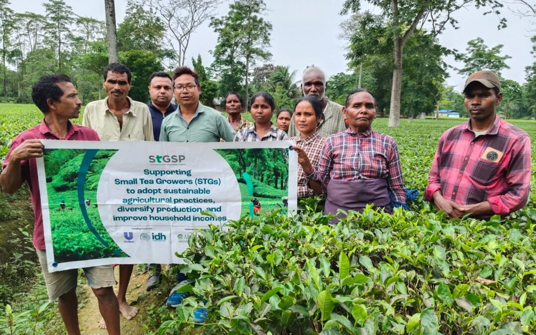 From Leaf to Livelihood: Building a Sustainable Tea Ecosystem