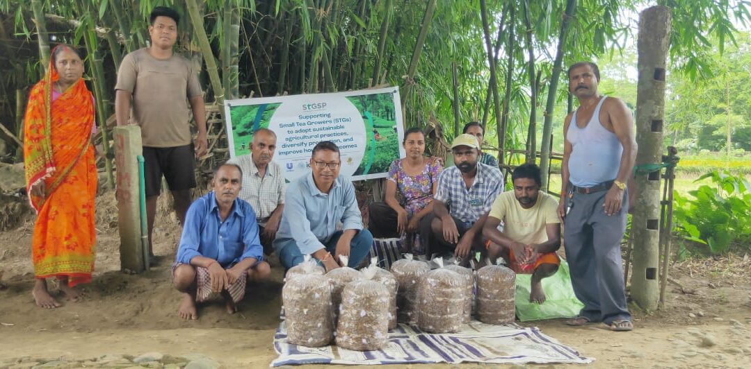 Promoting Diversified Livelihoods through Sustainable Farming Practices